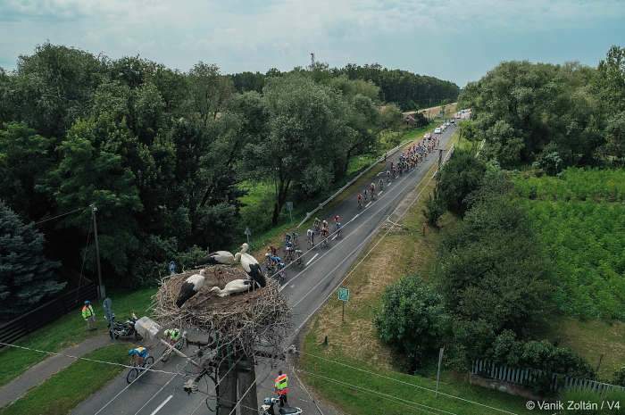 V4 Special Series 2019/1