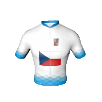 A Visegrádi Csoport cseh trikója A Visegrádi Csoport cseh trikója