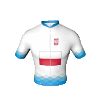 A Visegrádi Csoport lengyel trikója A Visegrádi Csoport lengyel trikója