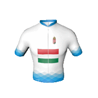 A Visegrádi Csoport magyar trikója A Visegrádi Csoport magyar trikója