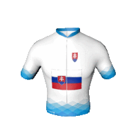 A Visegrádi Csoport szlovák trikója A Visegrádi Csoport szlovák trikója